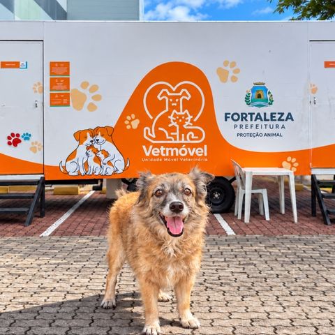 VetMóvel