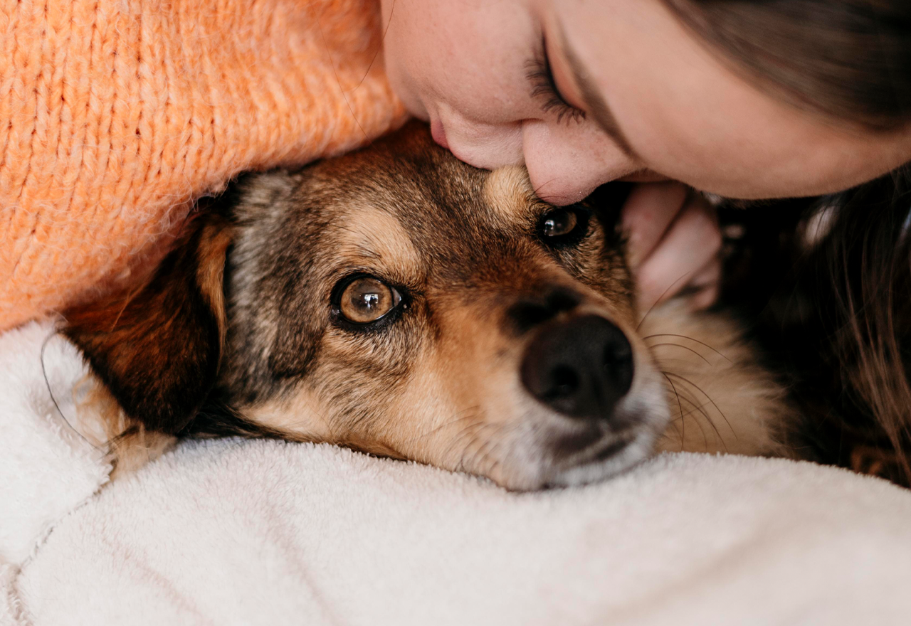 O que ninguém te conta sobre adotar um pet
