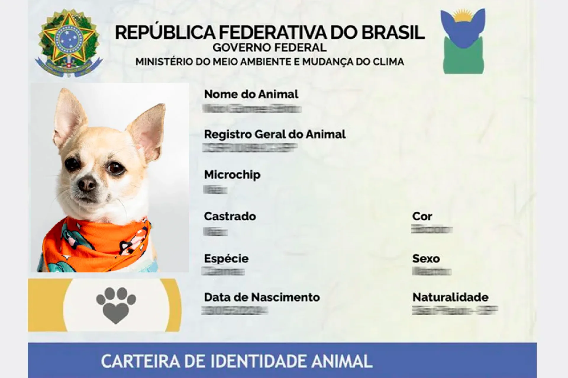 #PraTodoMundoVer: Foto de uma Carteira de Identidade Animal do Governo Federal. &Agrave; esquerda, um cachorro pequeno com len&ccedil;o laranja estampado. &Agrave; direita, campos de identifica&ccedil;&atilde;o do animal, como nome, esp&eacute;cie e data de nascimento.