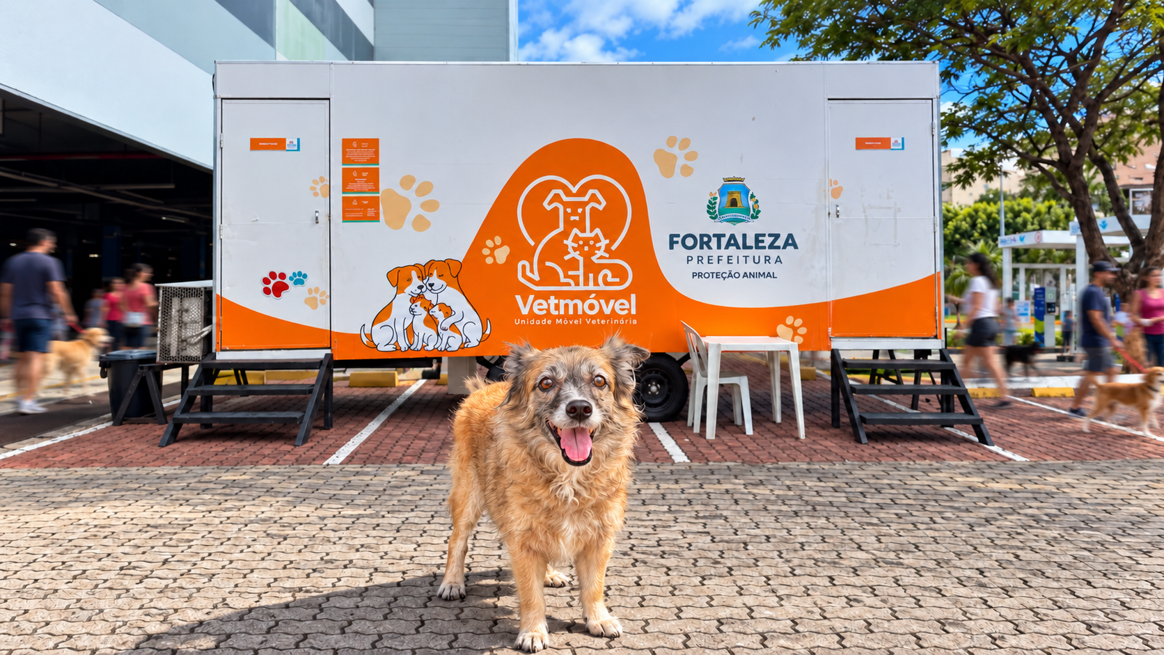 VetMóvel retorna ao Kennedy com atendimento gratuito para pets